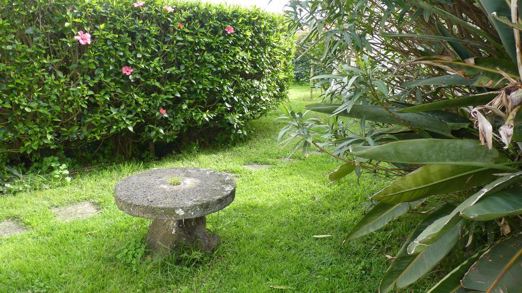 Azores Garden House - Private Suites & Apartments - Automatic Self Check-In Ponta Delgada Esterno foto